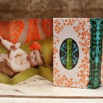 accordion-booke-2